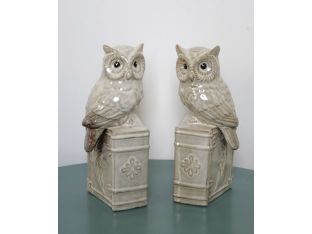 Set of 2 Sawhet Owl Bookends