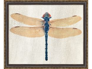 Dragonfly 1 22W x 18H