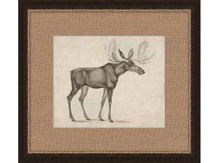 Antique Moose 19.5W x 17.5H