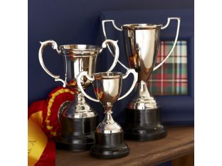 Set of 3 Trophies